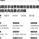 恒指期货手续费有哪些容易忽略的规则及相关风险要点详解